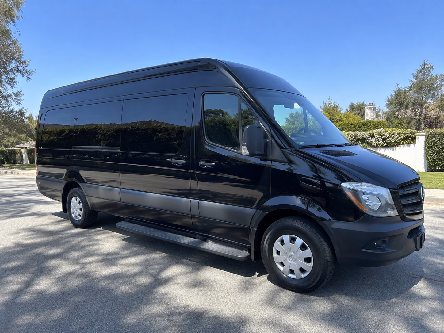 12 passenger sprinter van